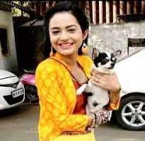 The actress is an animal lover. She hugs them and cuddles them whenever she finds them.